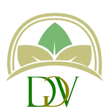 Dgolden Valley Boutique