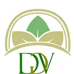 Dgolden Valley Boutique