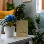 Dgolden Valley Boutique 4* Xagħra