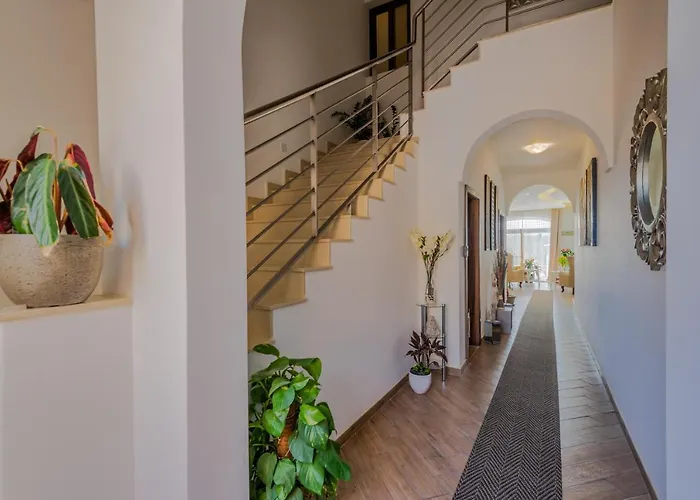 Dgolden Valley Boutique